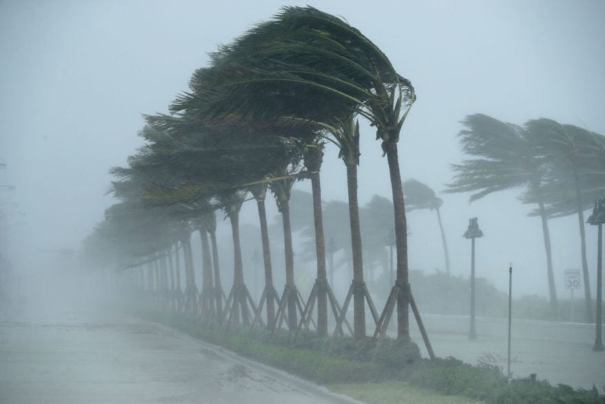 Declaran estado de emergencia para un tercio de Florida por llegada de Fred este sábado