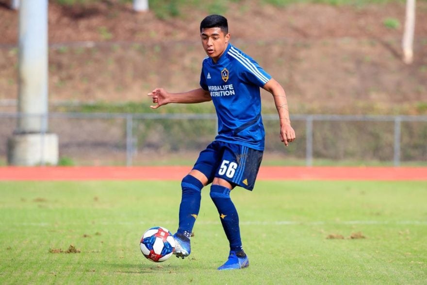 Araujo tiene que tomar una decisión México o EEUU