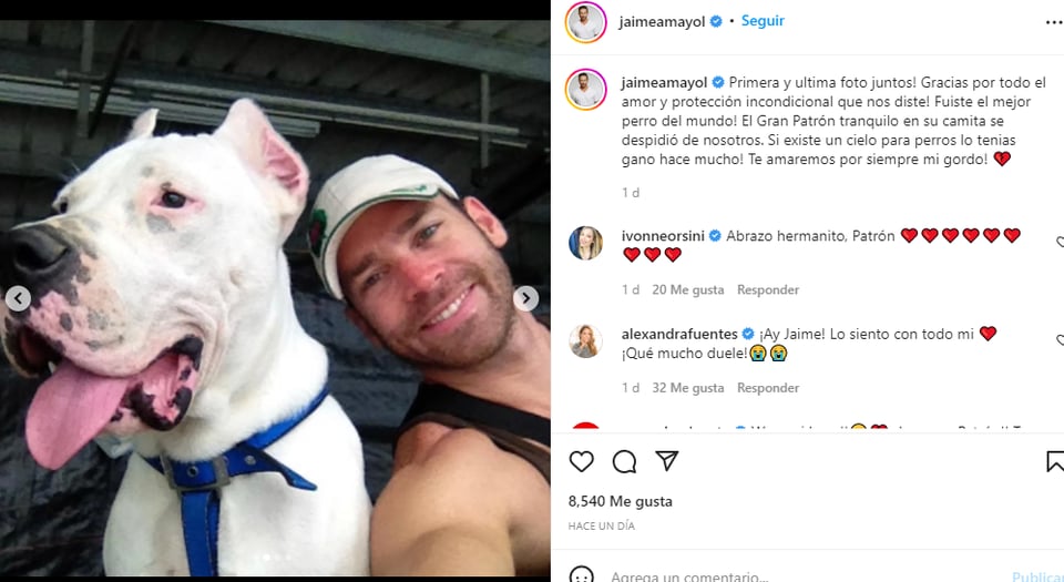 ¡Perdió a su fiel compañero!