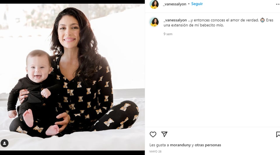 Vanessa Lyon se descara: Abogada de Carlitos hace tremenda confesión