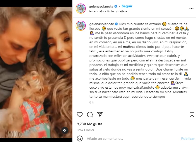 ¡Perdió a su fiel compañera!