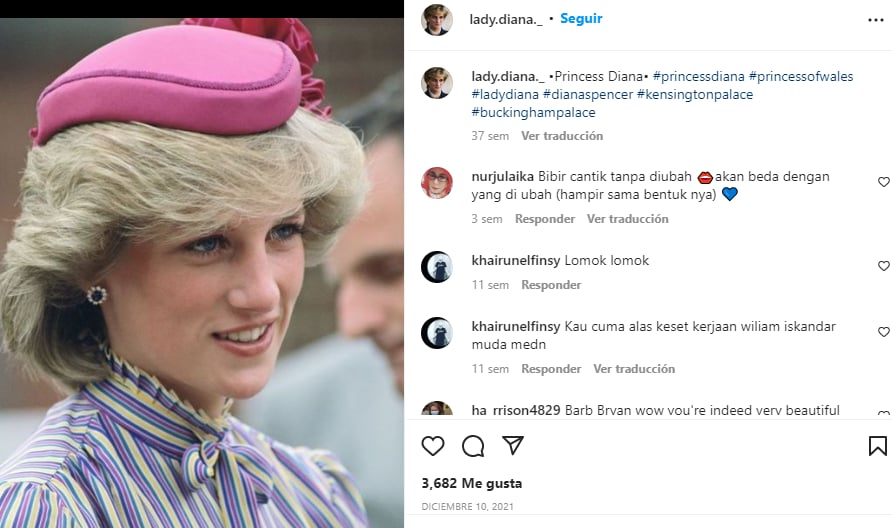Los hermanos separados para la conmemoración de la princesa