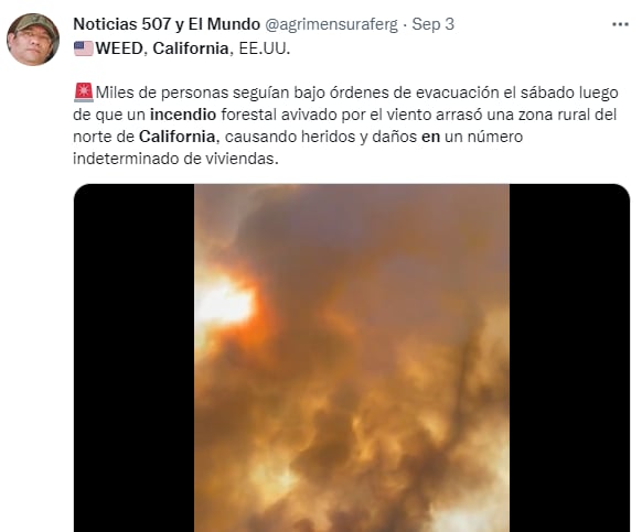 Testimonios de los locales que se salvaron