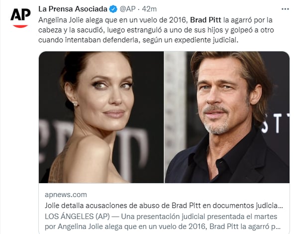 Brad Pitt estranguló a uno de sus hijos