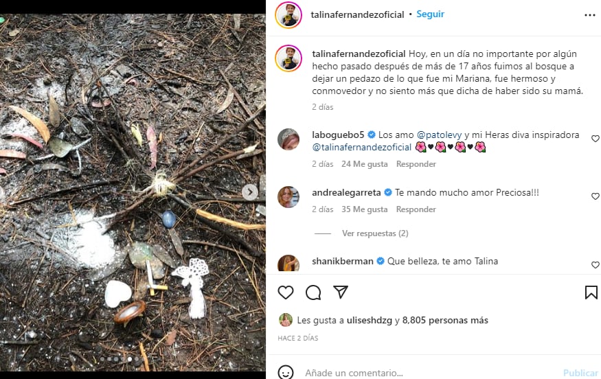 Ashes of Mariana Levy: They leave her ashes in the forest