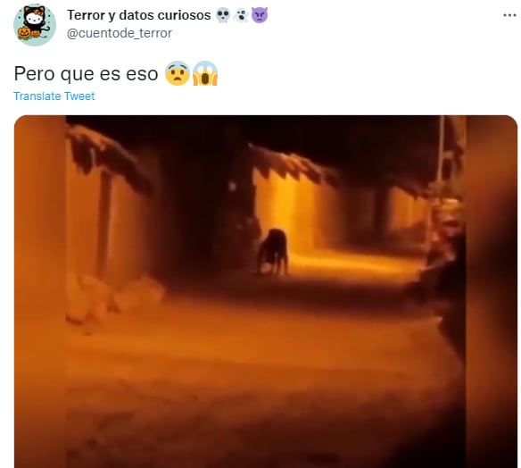 Terrorífico vídeo nahual: ¿Qué es un nahual?