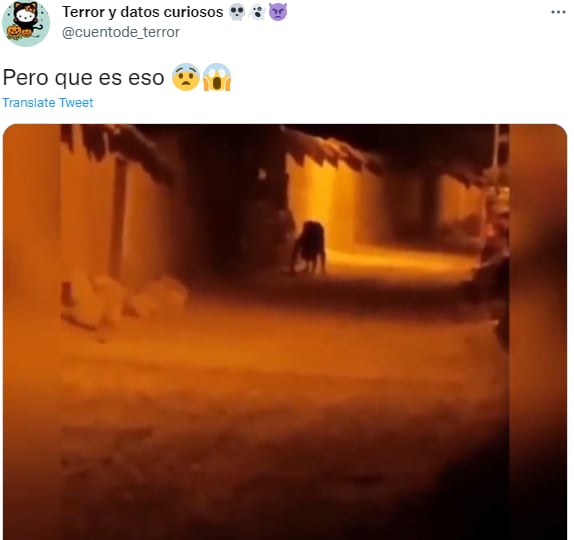 ¡Una noche de terror!