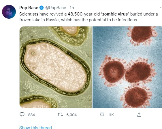Virus zombie: ¿Qué tan peligrosos son?