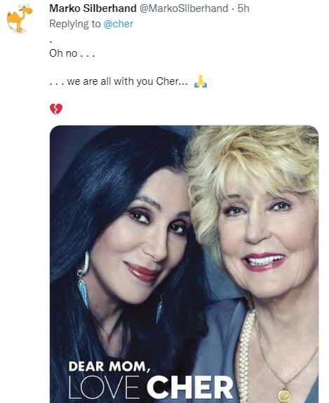 Cher is in mourning: Holt had health problems