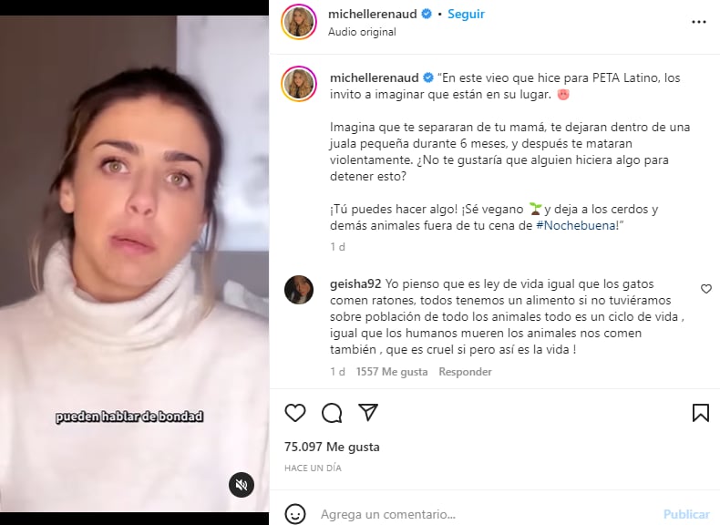 ¡Basta de maltratar a los animales
