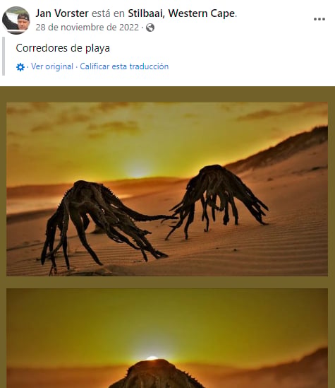 Extrañas criaturas saliendo mar: Internautas enloquecen