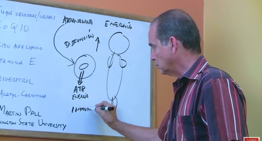 asesinato, clase, enseñanza, pérdida de peso, metabolismo