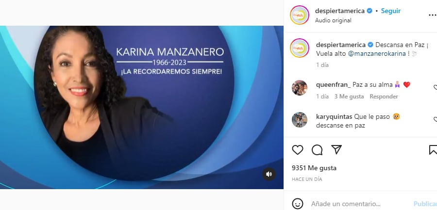 ¿Que era Karina para Despierta América?