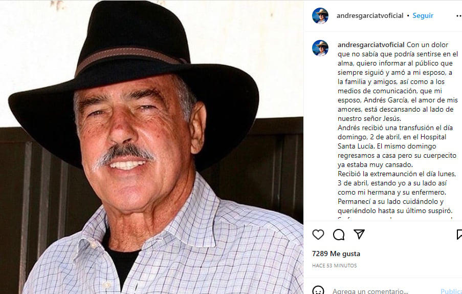 Wife Andrés García message: It makes everyone cry