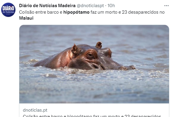 Hipopótamo vuelca una canoa: ¿De quién es la culpa?