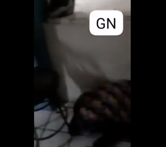 Ataque armado Veracruz México: Esto es "común"