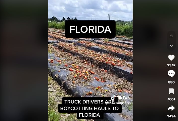 Campos de Florida vacíos: ¿Qué pasará ahora?