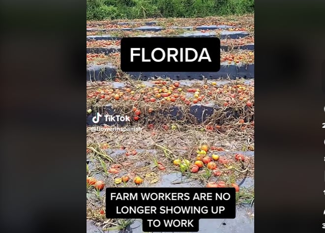 ¡No habrá mucha mano de obra!