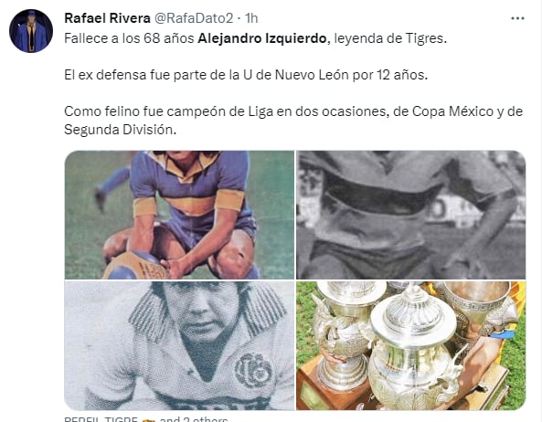 Su vida profesional