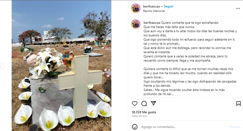 Hermana Octavio Ocaña tumba: La defienden