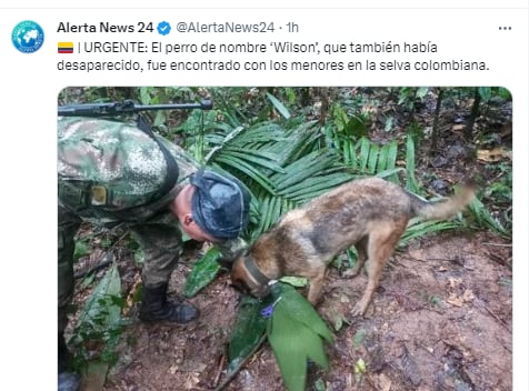 Encuentran niños hispanos selva: Estaban con buen estado de salud