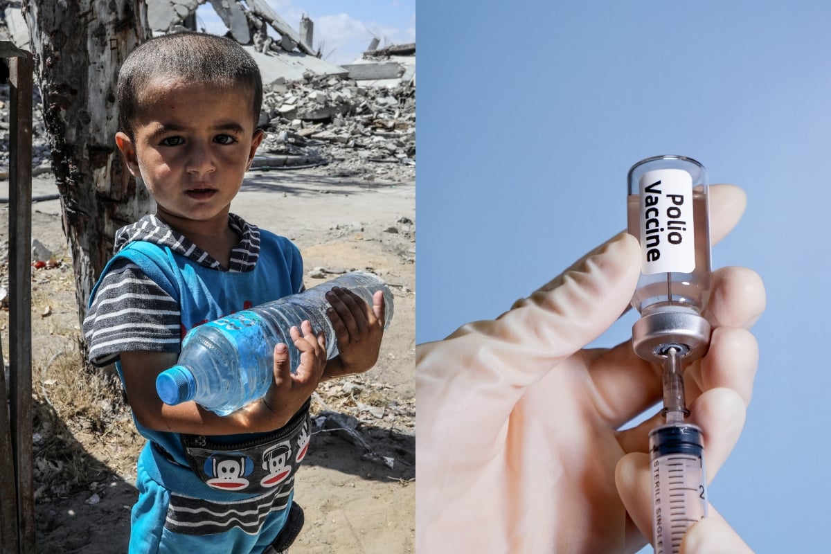 Pausas en Gaza, para Vacunación, contra Polio, viral