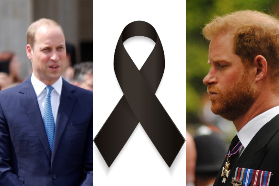 Princes William and Harry mourning unexpected death