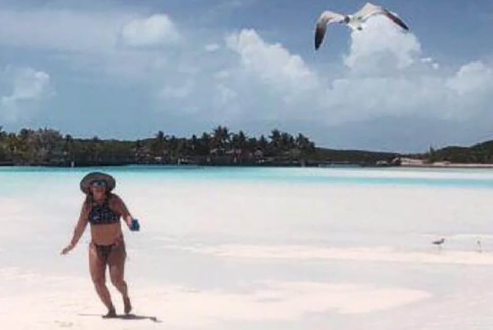 beach, celebrity, seagull, paparazzi, mundonow