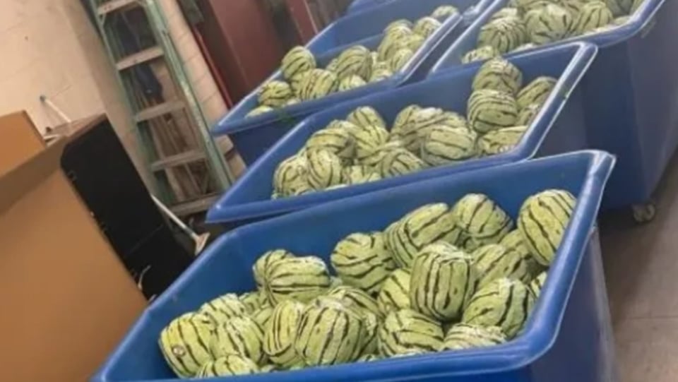 Authorities seize two tons of methamphetamine hidden in fake watermelons