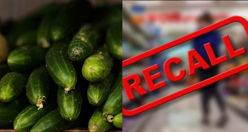 Nuevo brote de salmonela en pepinos, 125 hospitalizados en 31 estados