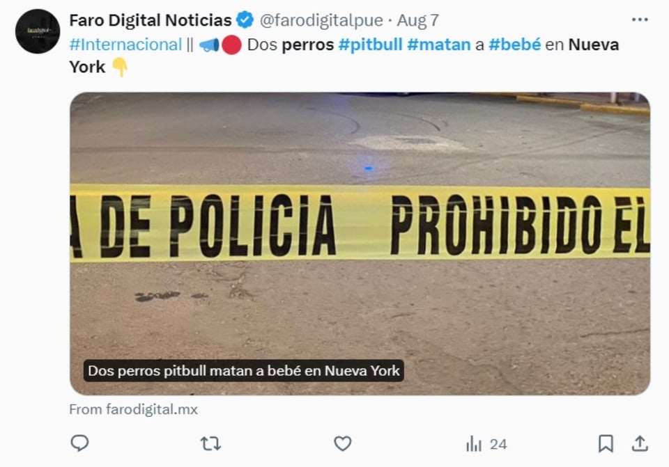 pit bull New York, policía, investigación, ataque, MundoNOW