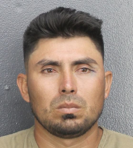 Madre hispana atropellada,Edwin Amaya,asesinato,hispanos,florida