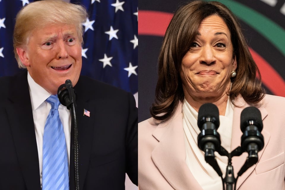 Encuesta Muestra Resultados Mixtos entre Trump y Harris