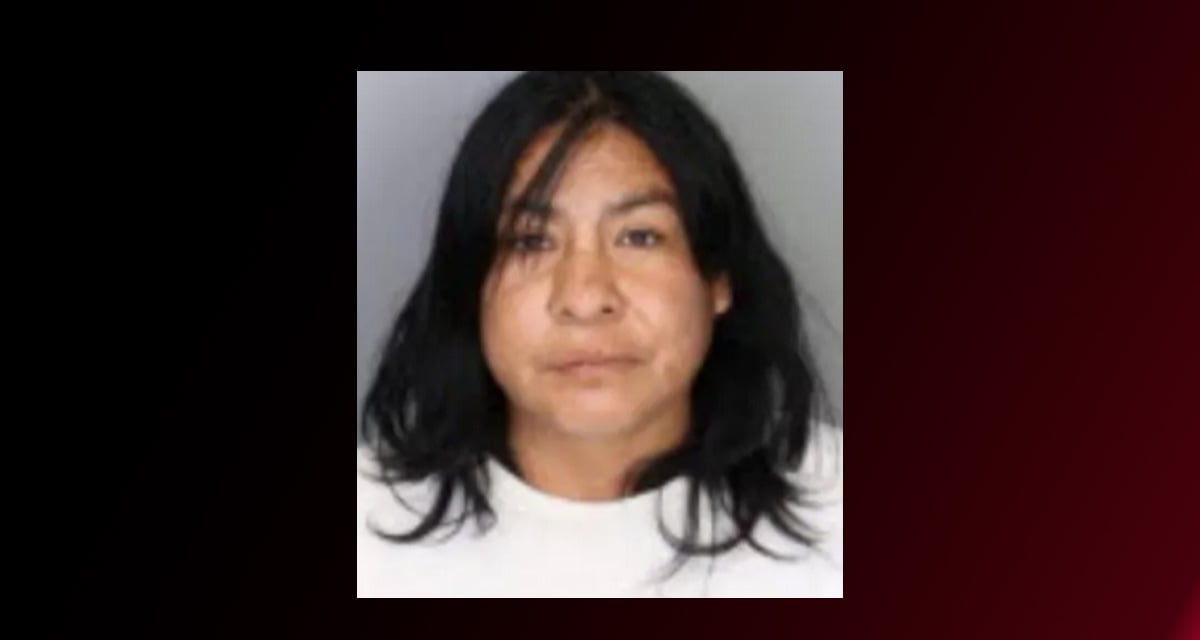 Hispana Miriam Castillo es arrestada por intentar asesinar a su hijo