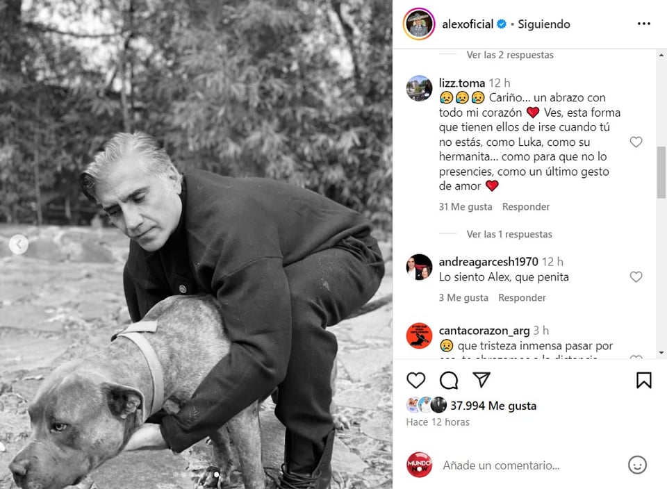 perro, muerte, duelo, amigos, MundoNow