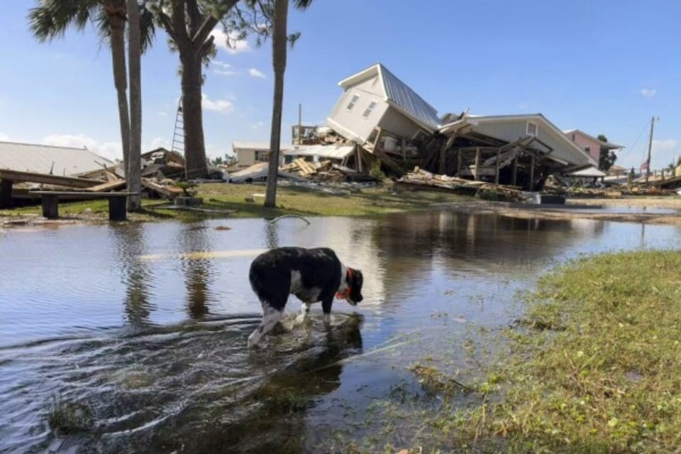 Tormenta Helene deja casi 100 muertos y miles de afectados