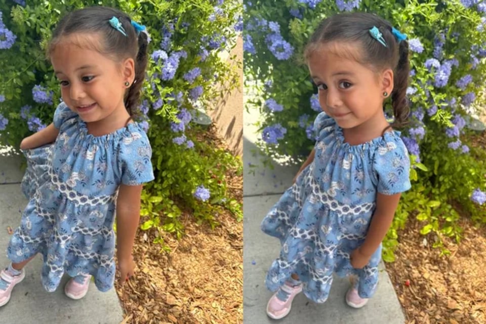Mamá hispana es detenida por dejar a su hija adentro de un carro en Anaheim featured image