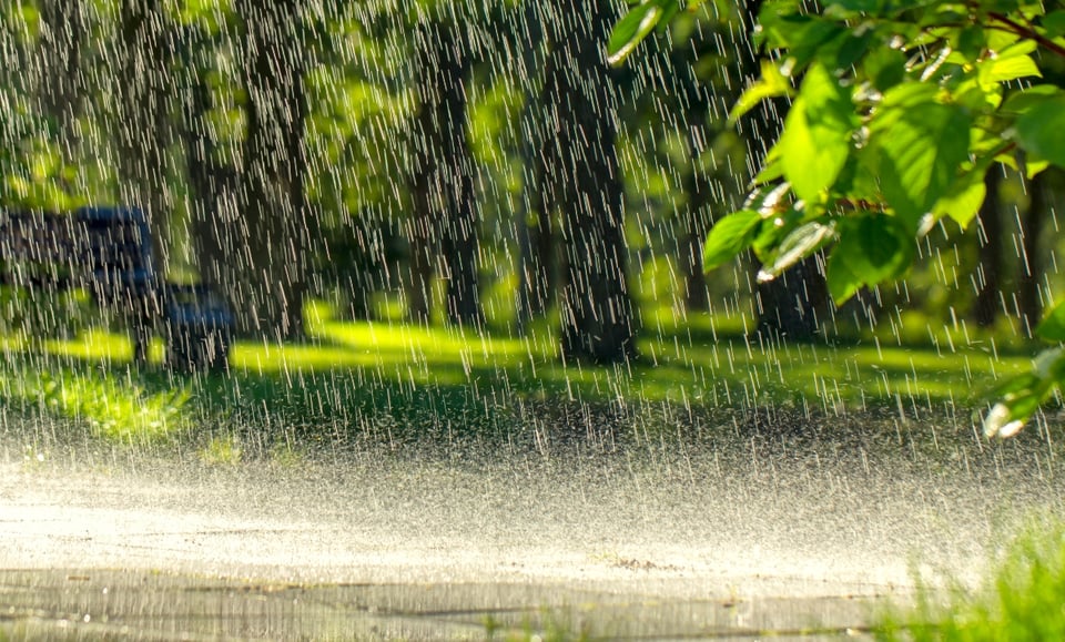 Fuertes lluvias Sur, tormenta, lluvias, alerta, MundoNOW