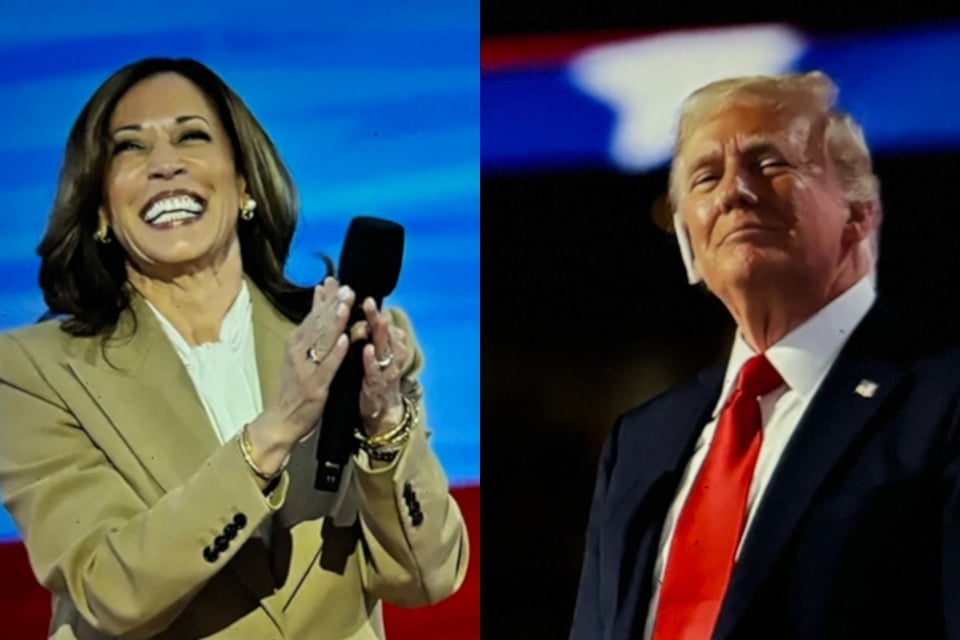 Election guru predicts Kamala Harris victory in 2024