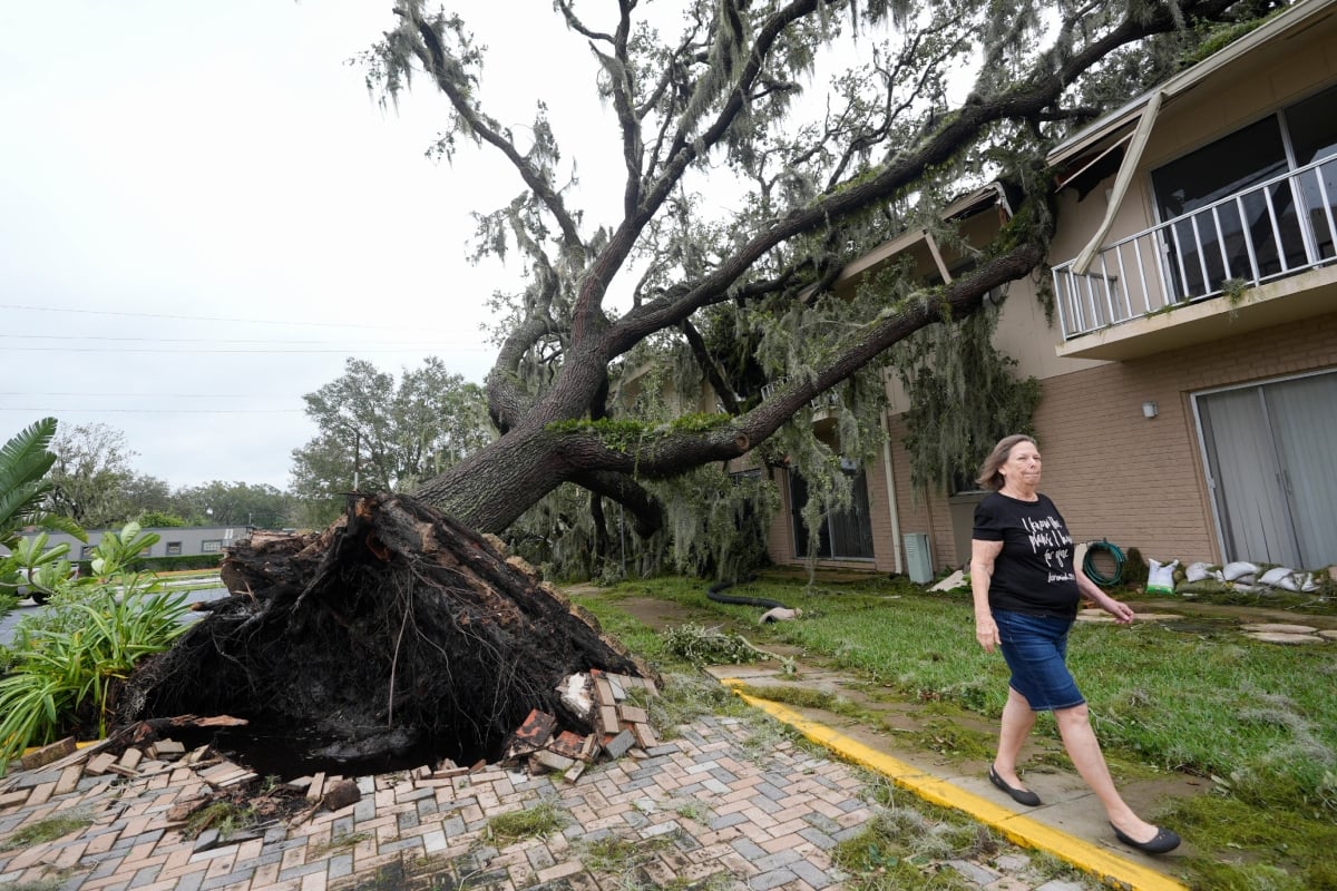 familia Hernández, huracán Milton, identificación, sobrevivir huracán, TikTok, MundoNOW, desastres naturales, Florida, mascotas, Hernandez family, Hurricane Milton, identification, surviving hurricane, Hispanic Family Marks Their Bodies