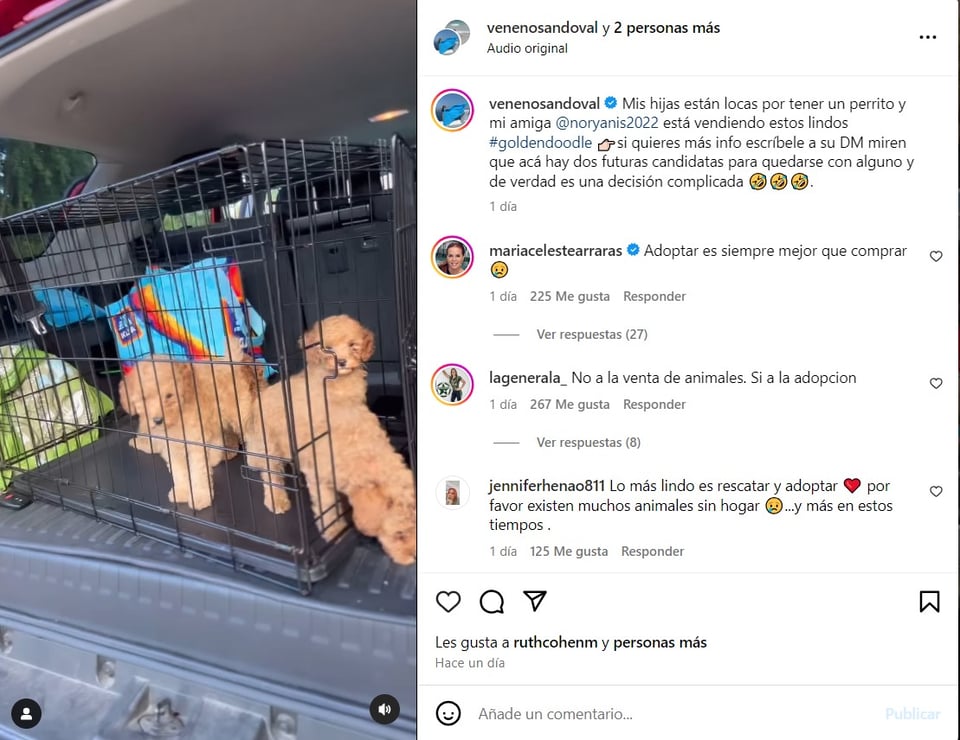 Carolina, Sandoval, María, Celeste, perritos