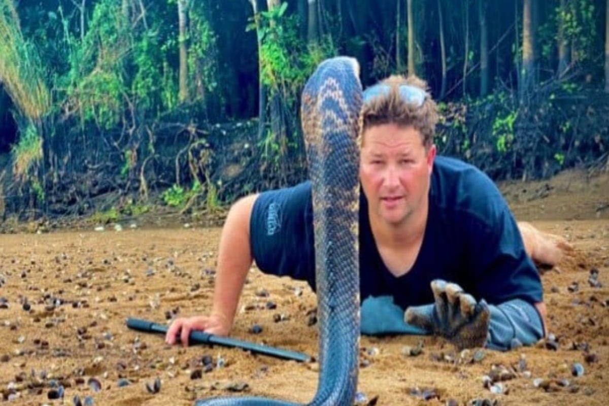 Dingo Dinkelman, youtuber, muerte, serpiente venenosa, MundoNOW