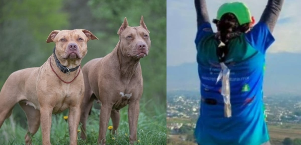 Isidra Torres, atleta, México, pitbulls, MundoNOW