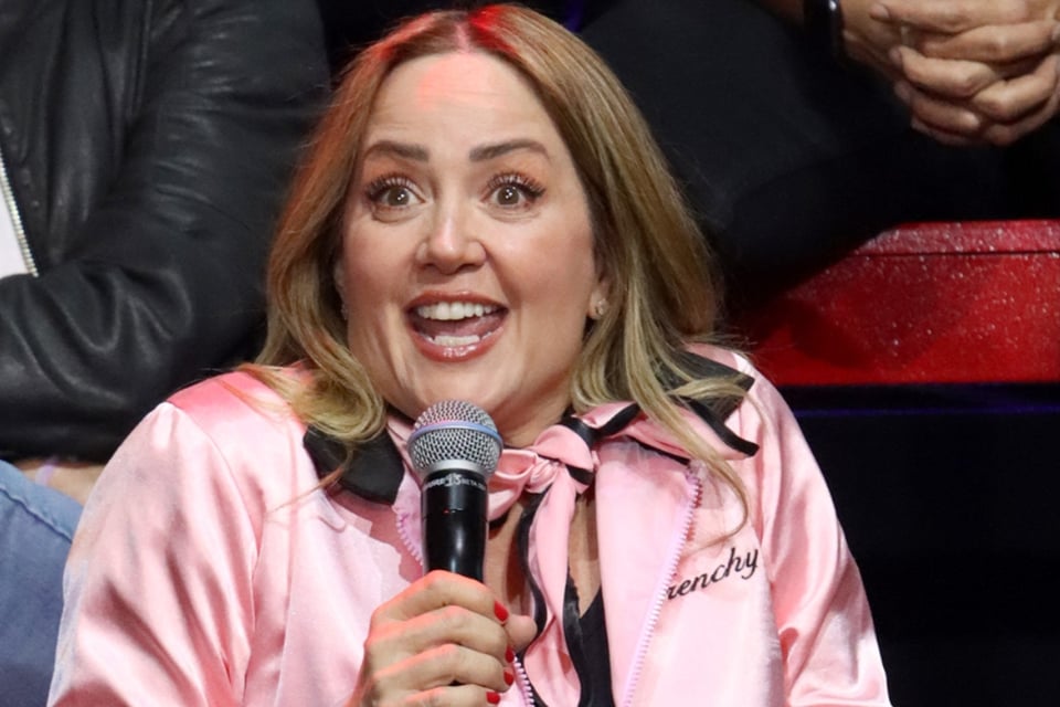 Andrea Legarreta Responds to Rumored Romance, Social Networks, Speculations, Celebrities, Televisa