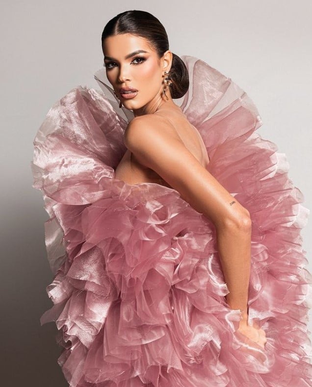 Ileana, Hernández, Miss, Venezuela, traductora