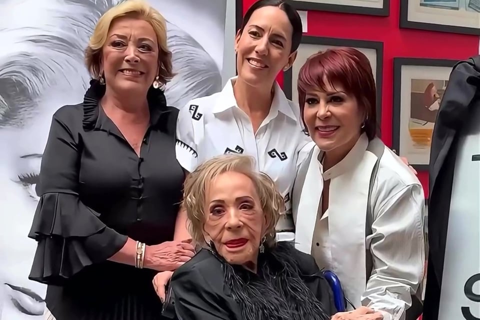 Herederos de Silvia Pinal, Muerte, Luto, Fallecimiento, Celebridades