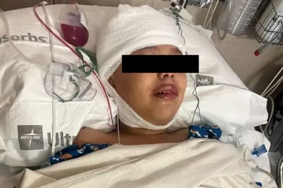 La familia de Alison pide ayuda tras accidente con un perro