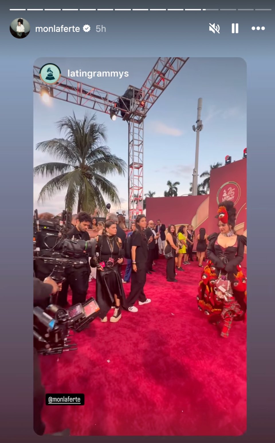 Mon Laferte, red carpet, Latin Grammys, celebrities, MundoNOW