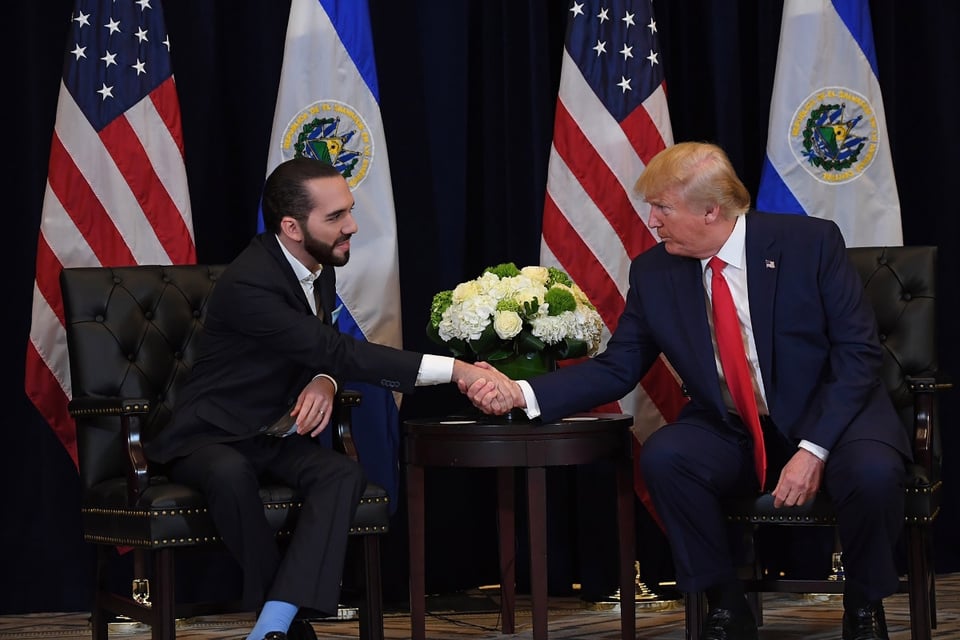 Nayib Bukele y otros líderes mundiales felicitan a Trump tras elecciones