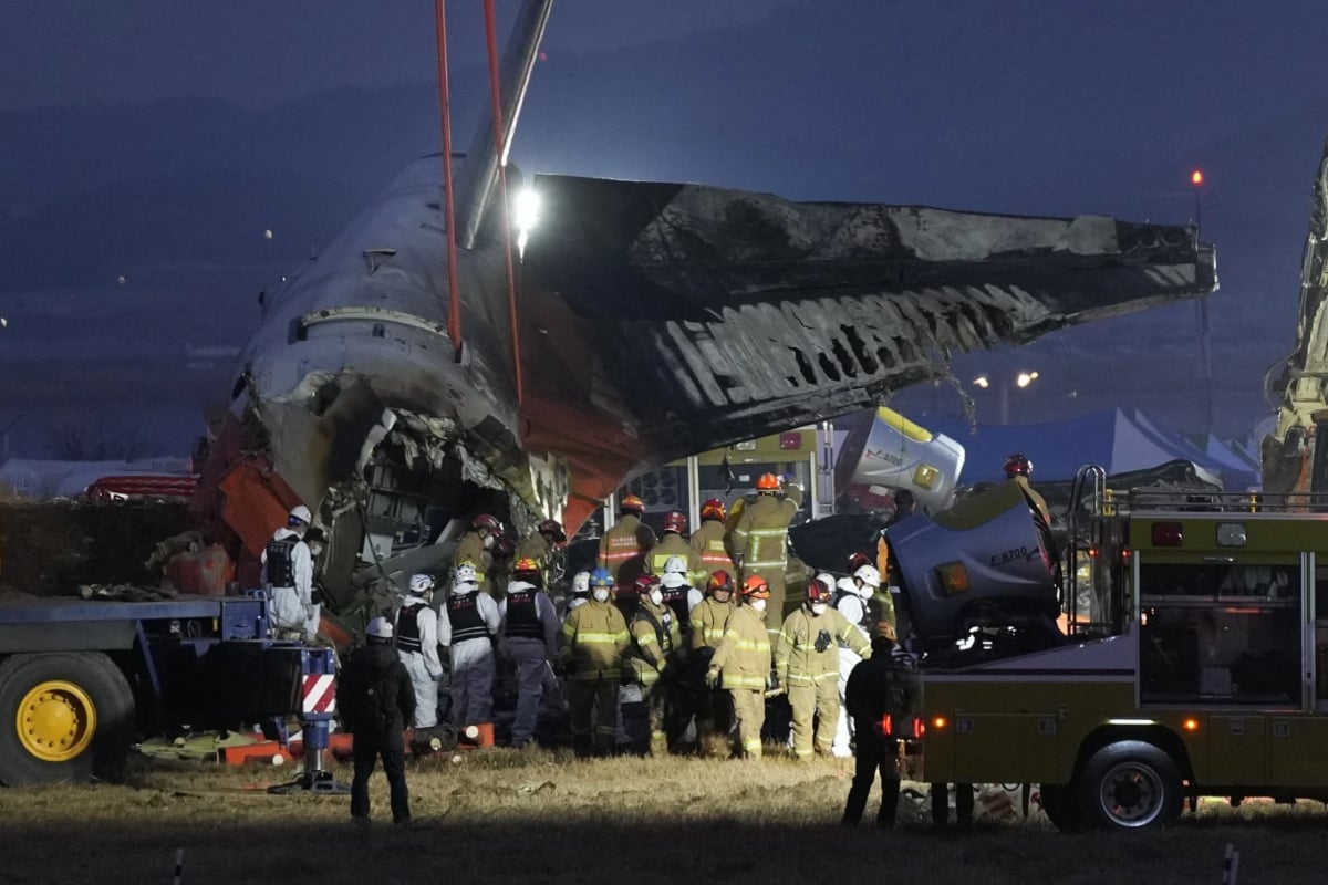 accidente aéreo Corea del Sur, tragedia Jeju Air, aves en aeropuerto Muan, últimas palabras pasajero, MundoNOW, South Korea plane crash, Jeju Air tragedy, birds at Muan airport, passenger's last words, south korea passenger message